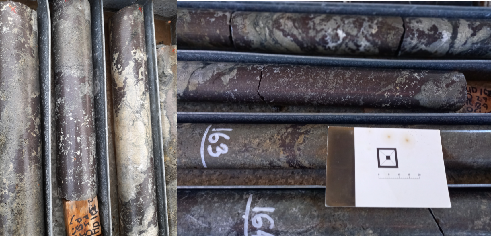 Sulphides visible in diamond cores from Queen Grade (R3D Resources)