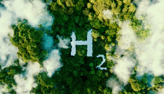 Hydrogen sign in a forest