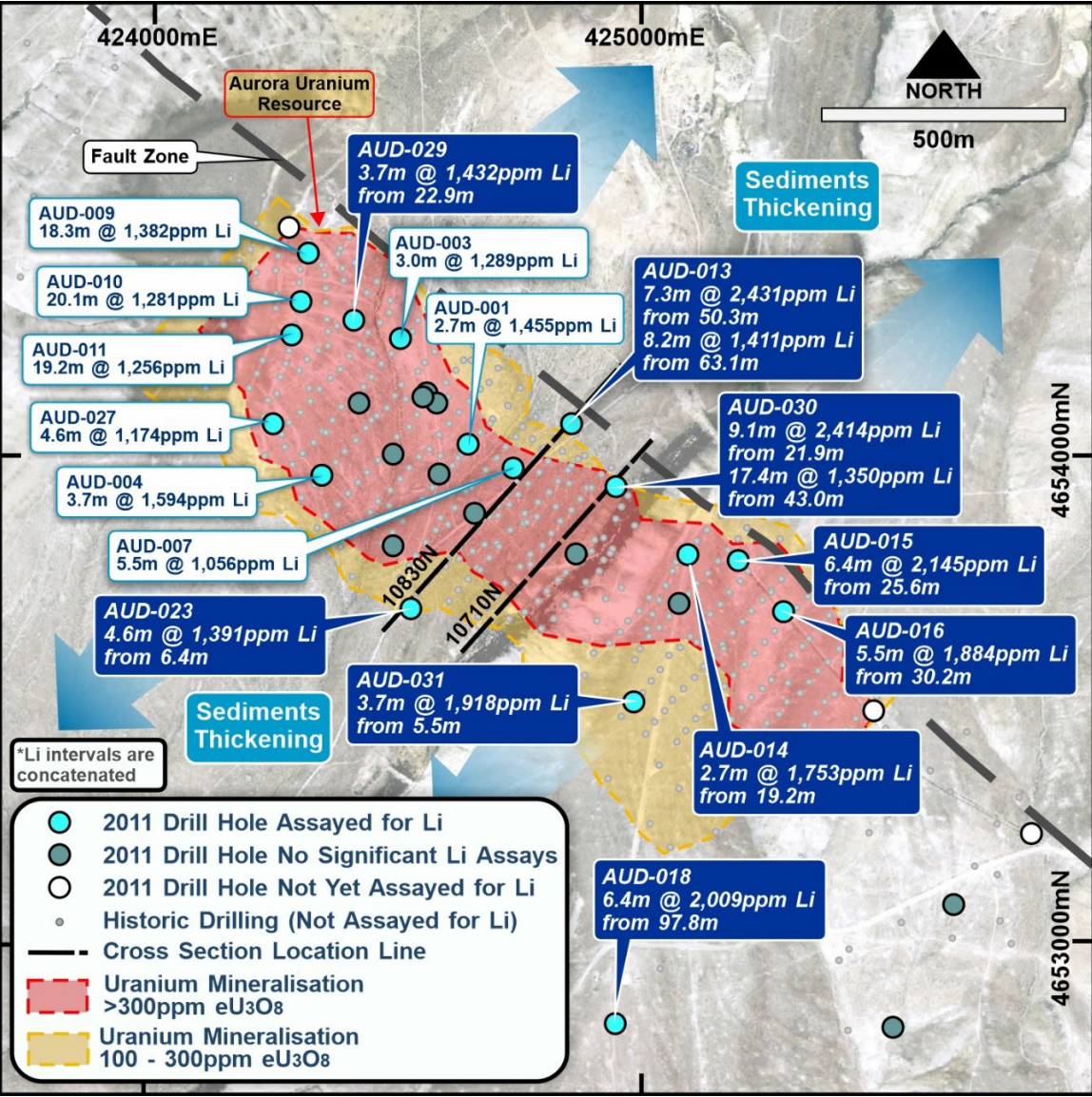 (Source: Aurora) A map detailing the latest assayed drillholes for lithium with uranium deposit boundaries underlying