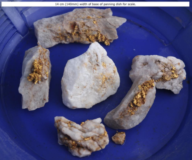 Nickol River Project, specimen gold samples owned by Cyclone.