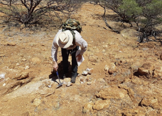 Prospector exploring at an Askari project