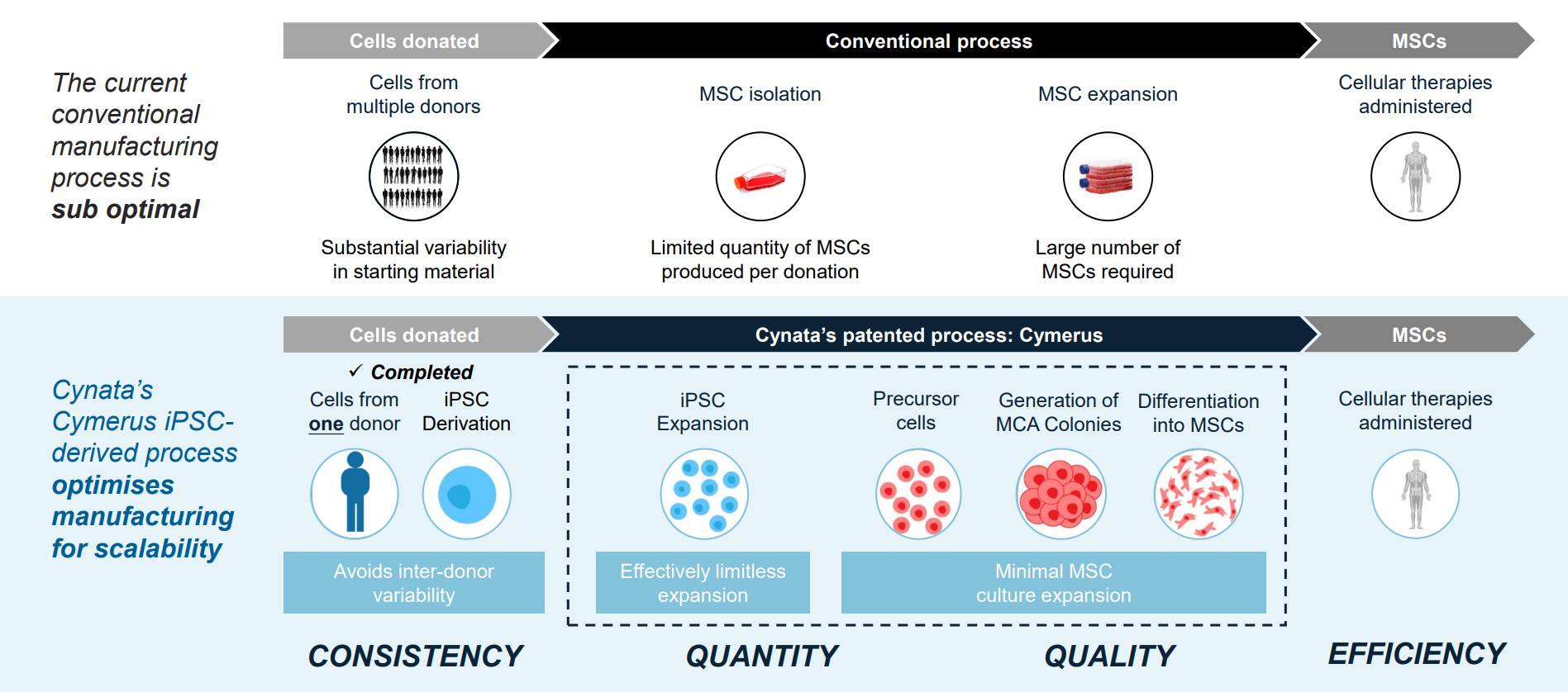 (Source: Cynata Therapeutics) An infographic outlining the company's manufacturing process from a 2020 presentation