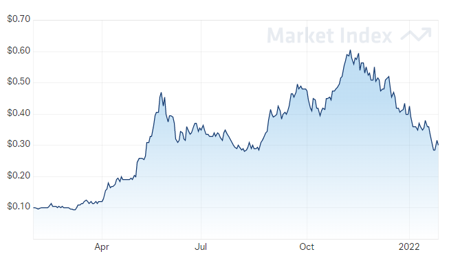 imu share price 1 year chart