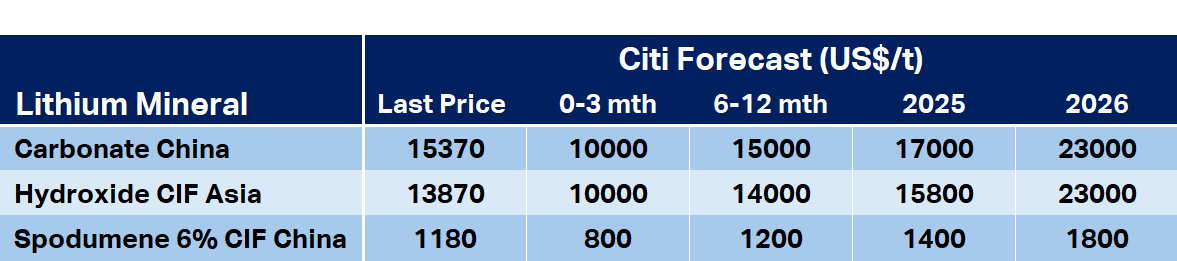 citi lithium price forecasts MI
