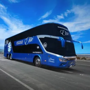 Bus inter urbano