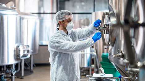 Food Industry PPE: Using Safety Gear to Reduce Injuries, Contamination Risk