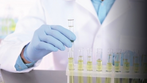 VIDEO: SHOWA EBT Gloves: Powerful Protection, Responsible Choice