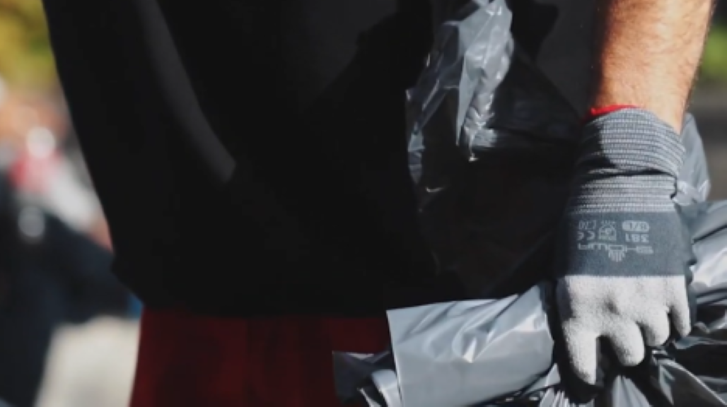 Sentinel by SHOWA: The Definitive Guide to Industrial Hand Protection