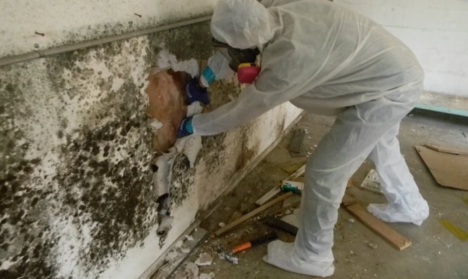 3M™ Respirators for Professional Mold Remediators