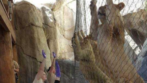 The RightCycle™ Program and Dallas Zoo Work Together to Recycle Disposable Gloves