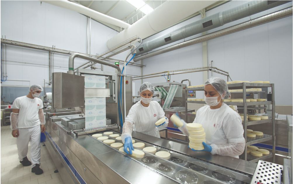 Preventing Slips, Trips, and Falls in the Food Processing Industry