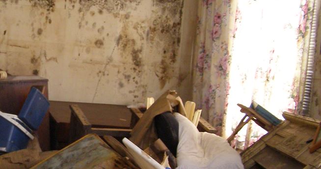 Protecting Yourself From Mold During Hurricane Cleanup