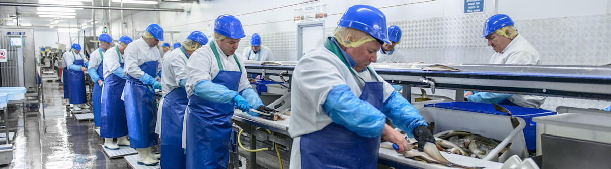 Food Manufacturing: Choosing the Right Safety Gloves | BetterMRO