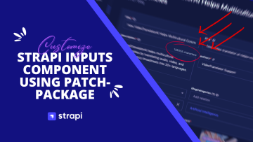 Customize Strapi inputs using patch-package