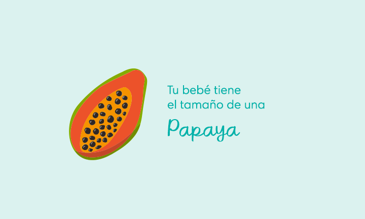 Your baby is the size of a papaya