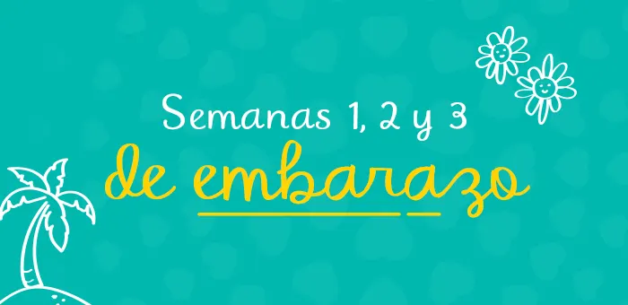 Semanas 1, 2 y 3 de embarazo