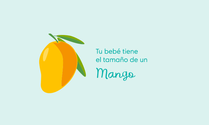 Your baby is the size of a mango