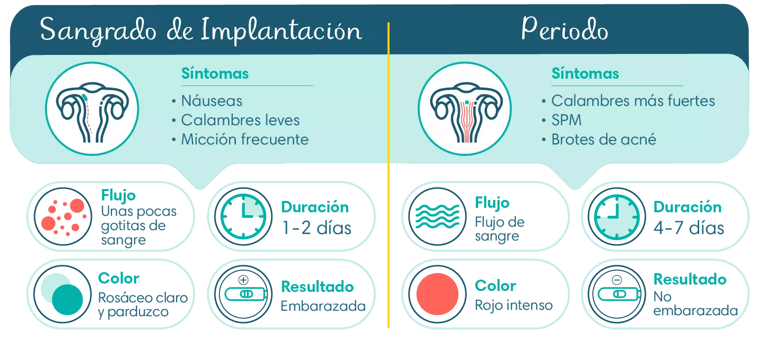 Despues del sangrado de implantacion el test da positivo sale