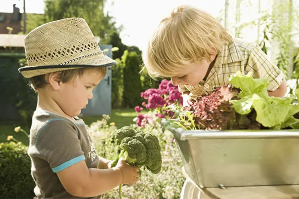 Consejos de jardinería en casa para la familia