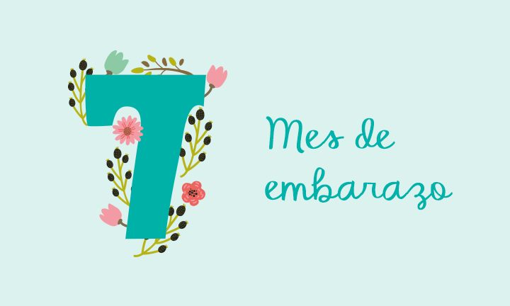 7 Meses De Embarazo Inicio Del Tercer Trimestre Pampers