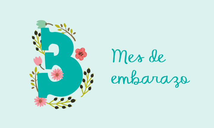 3 meses de embarazo