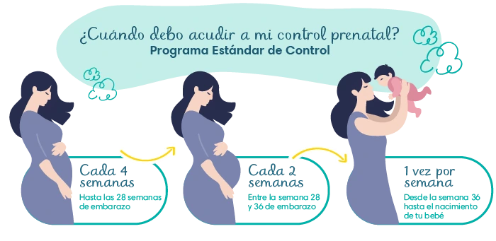 Agenda de control prenatal