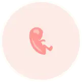 Tercer mes de embarazo