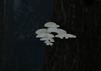 Thumbnail January 2025