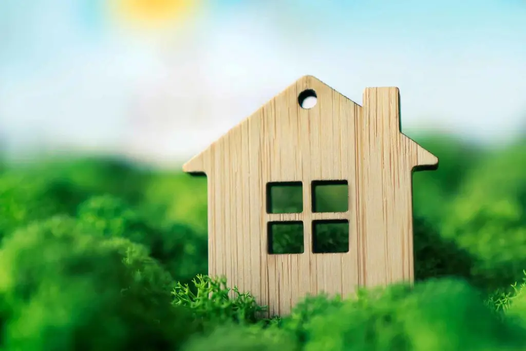Eco house design: how to create your green home