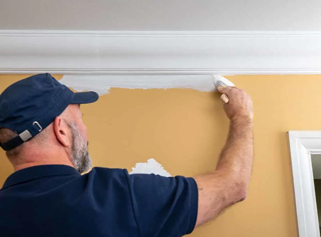 How to become a painter and decorator