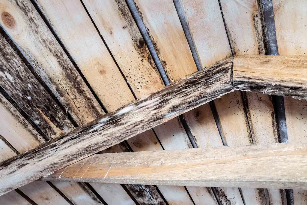 How to stop condensation and damp in a loft