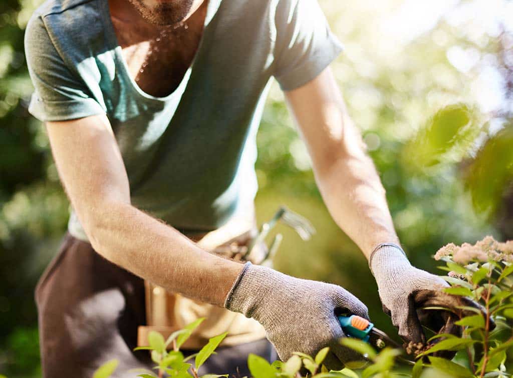 How to grow your gardening business
