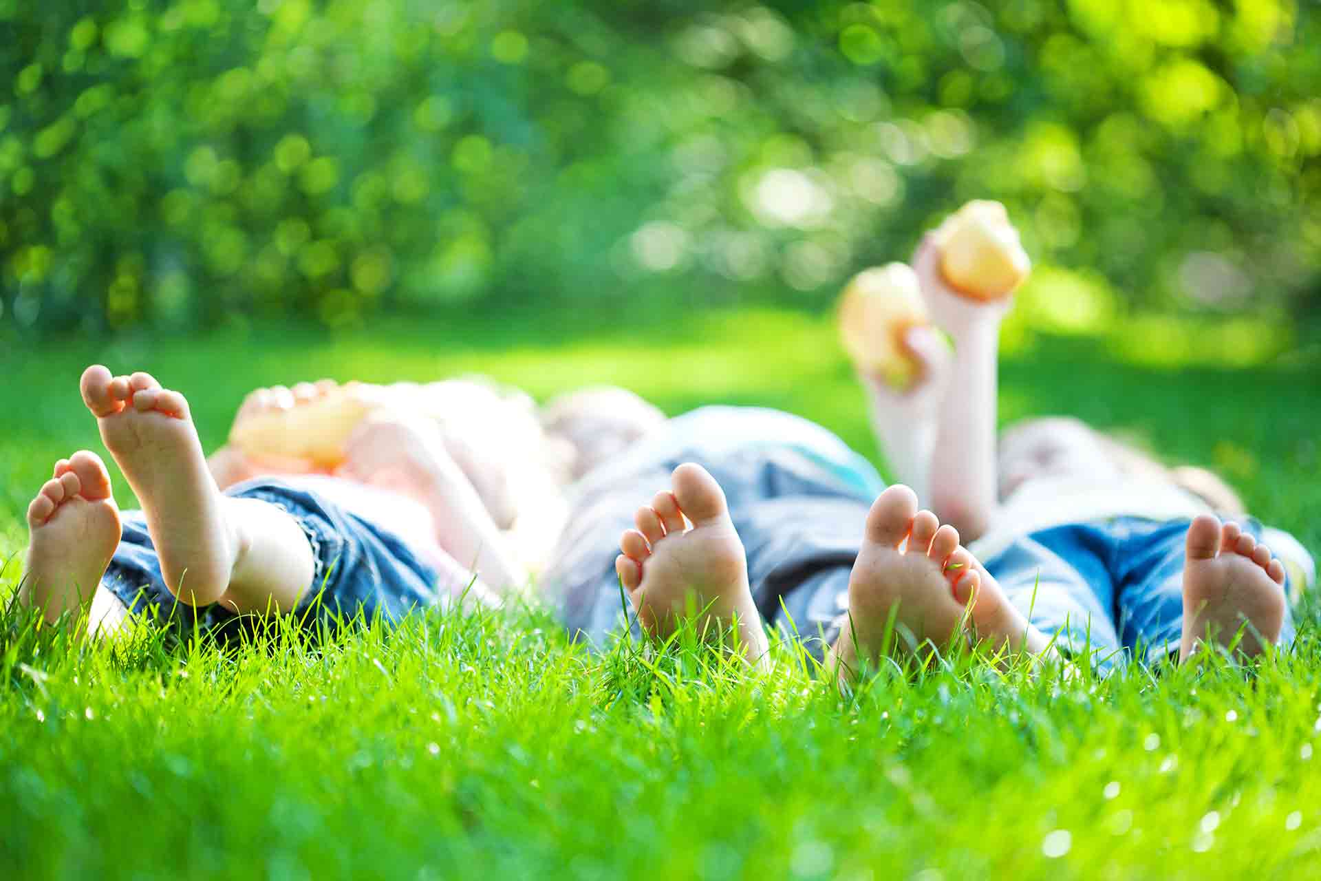 How to lay grass