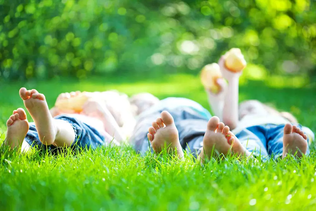 How to lay grass