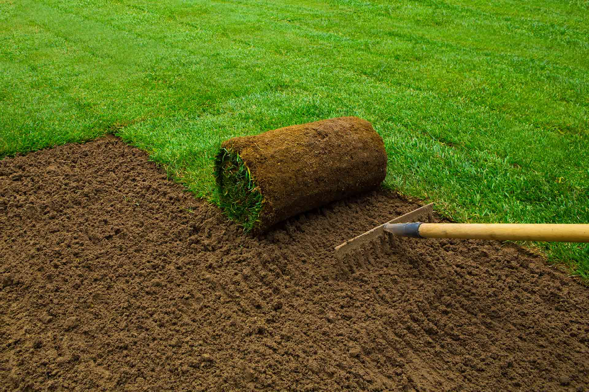 How much does turfing cost in 2024?