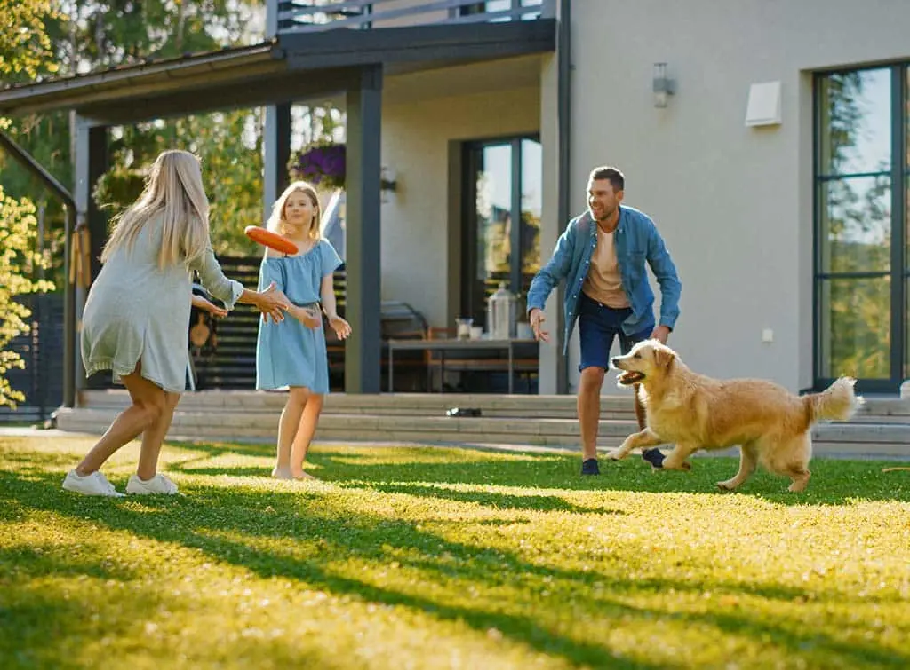 Summer lawn care tips and advice
