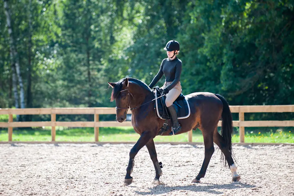 Cost of building an outdoor riding arena