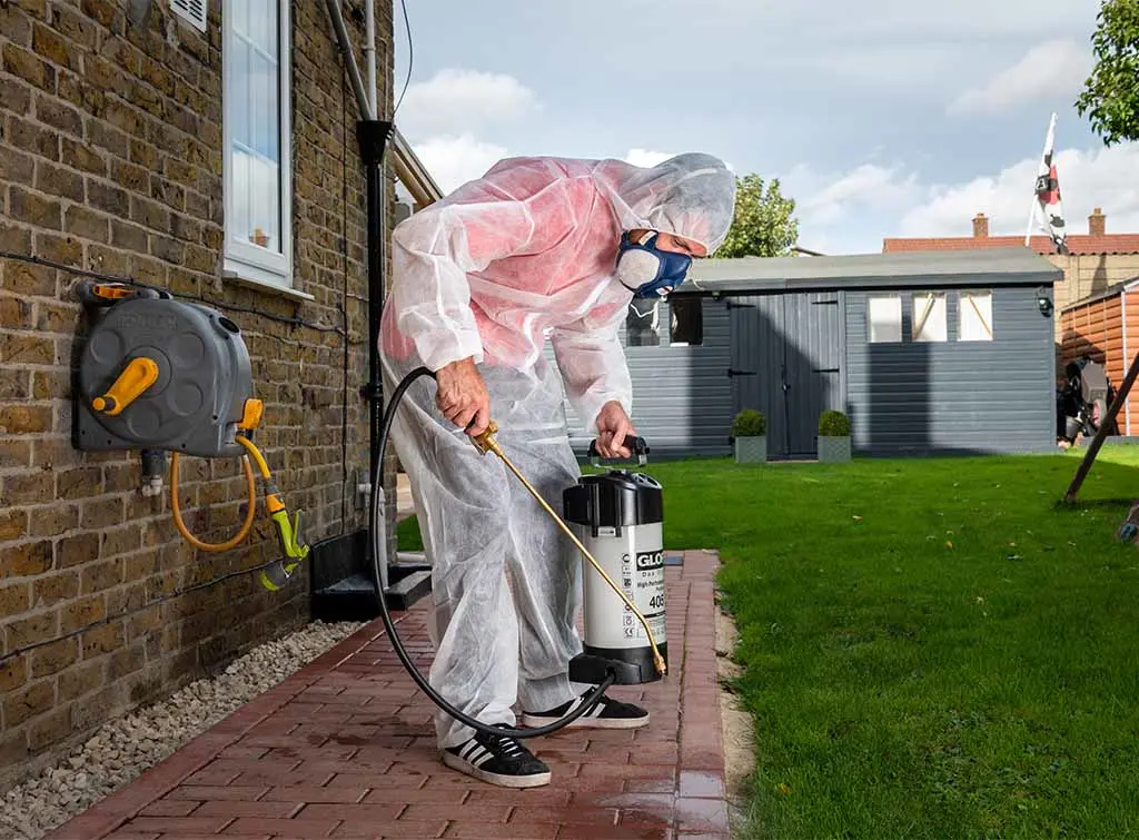 Pest control insurance – what you need to know for your pest control business