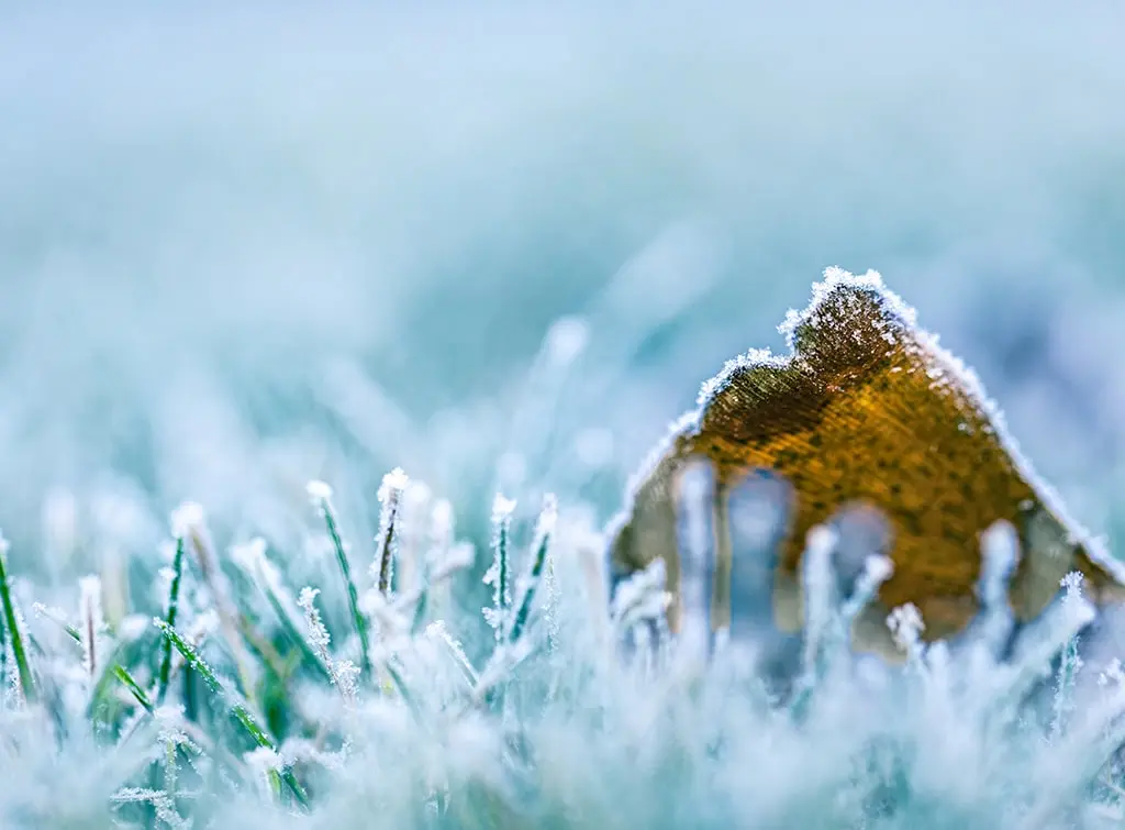 Your ultimate guide to winter landscape maintenance
