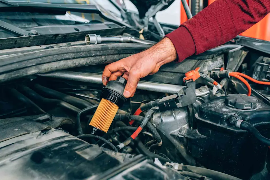 Oil and filter change cost guide