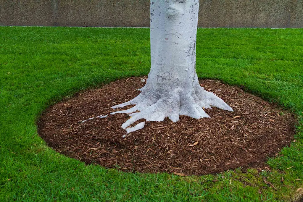 How much does mulching cost?