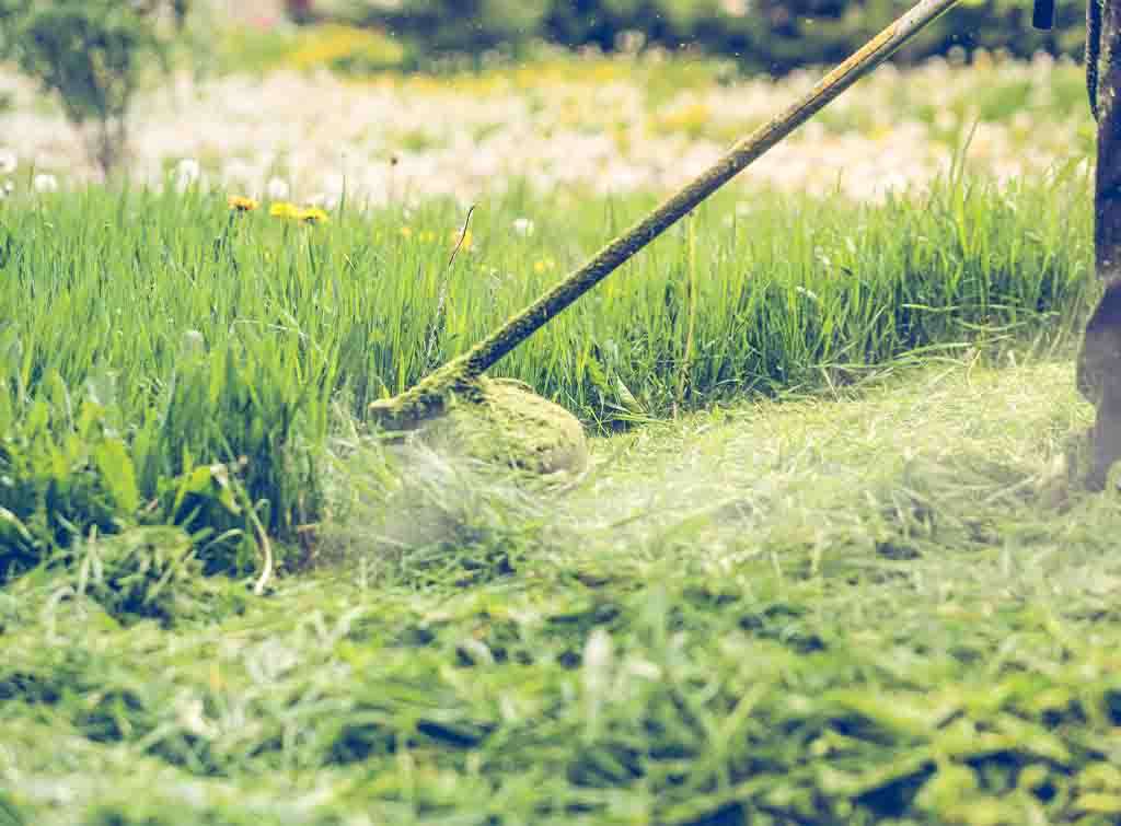 How much does grass cutting cost in 2025