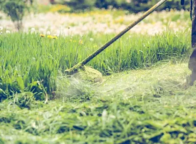 How much does grass cutting cost in 2025