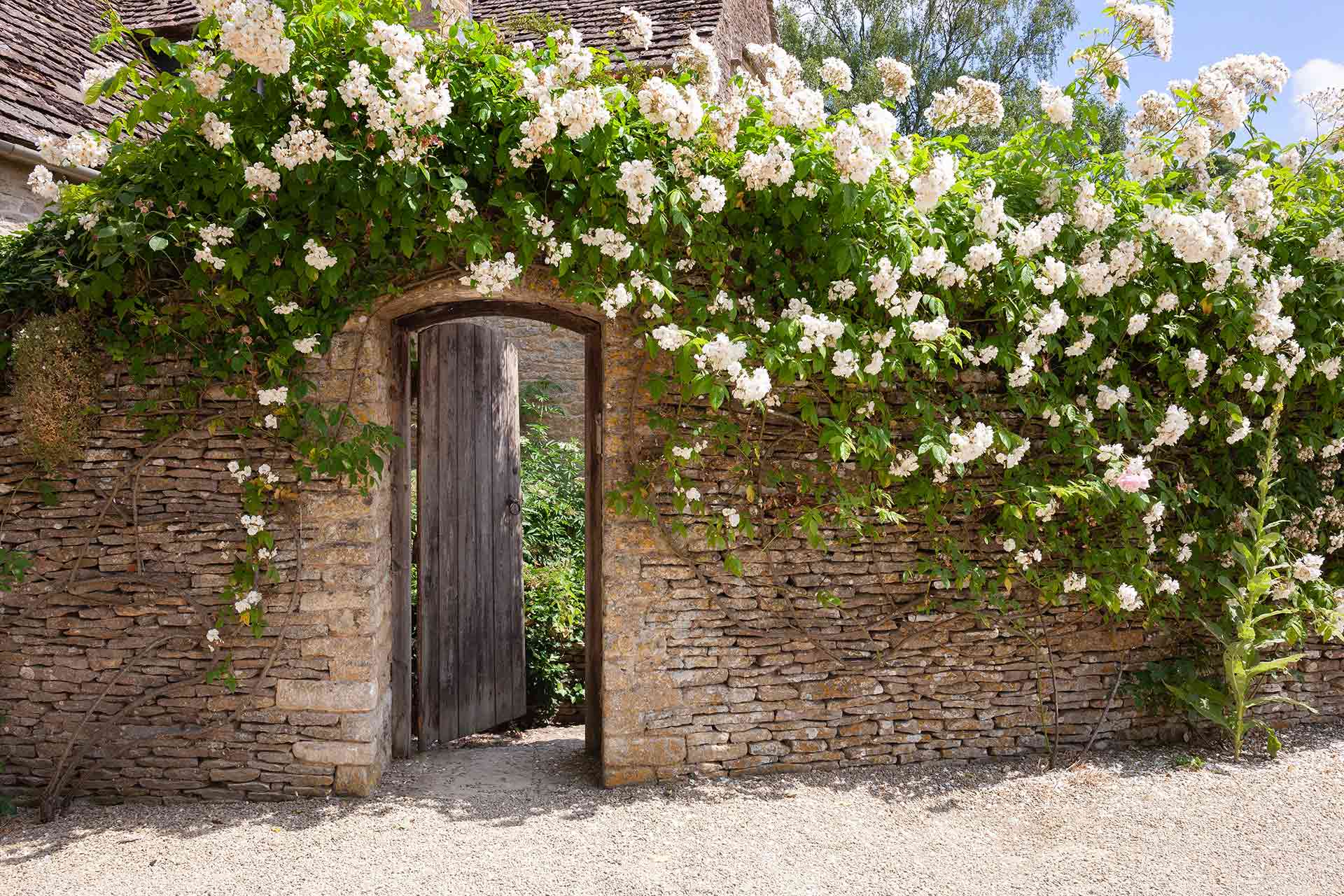 Garden gate installation cost guide