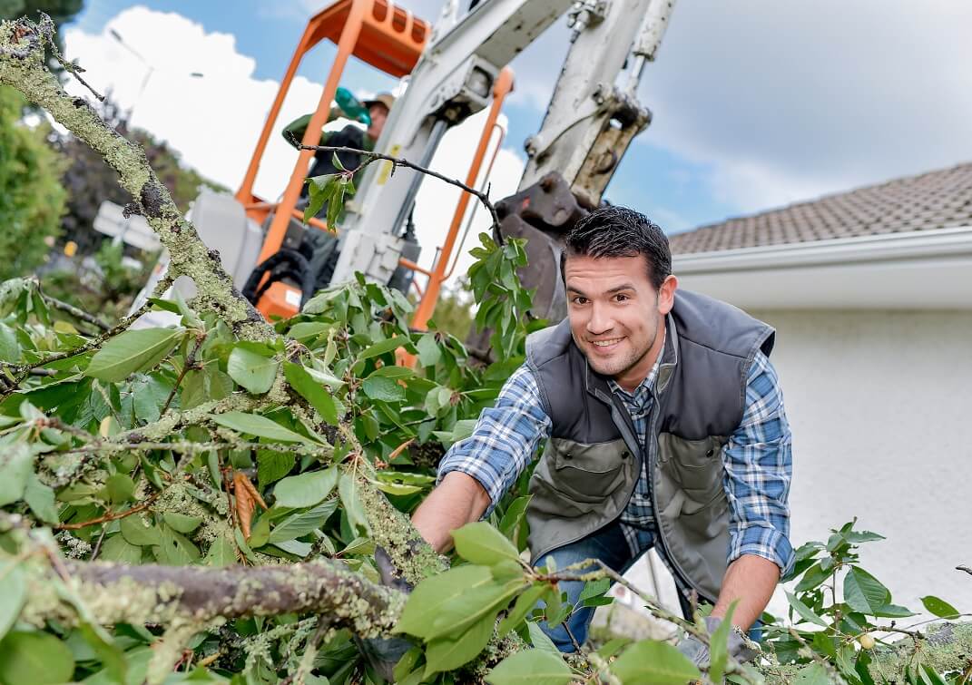 Garden Waste Removal Near Me Garden Waste Removal Near Me