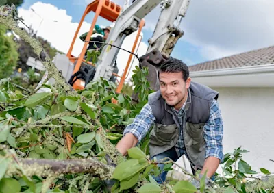 garden waste removal firm