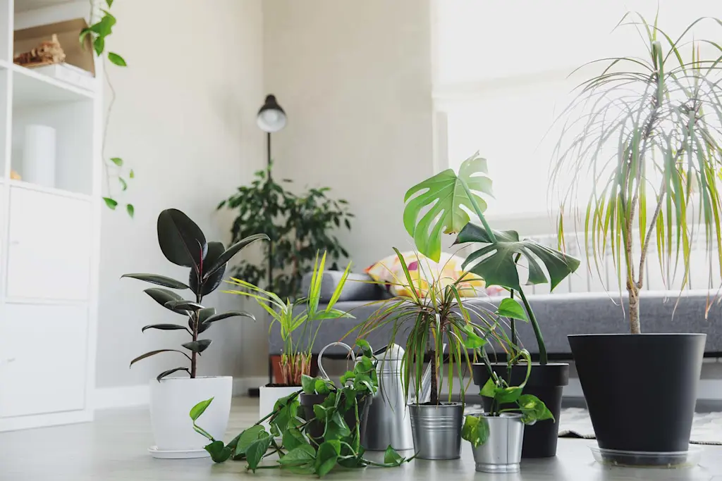 Ideas to create your own indoor garden