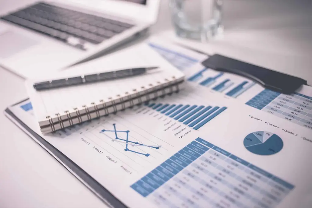 How to read a financial statement