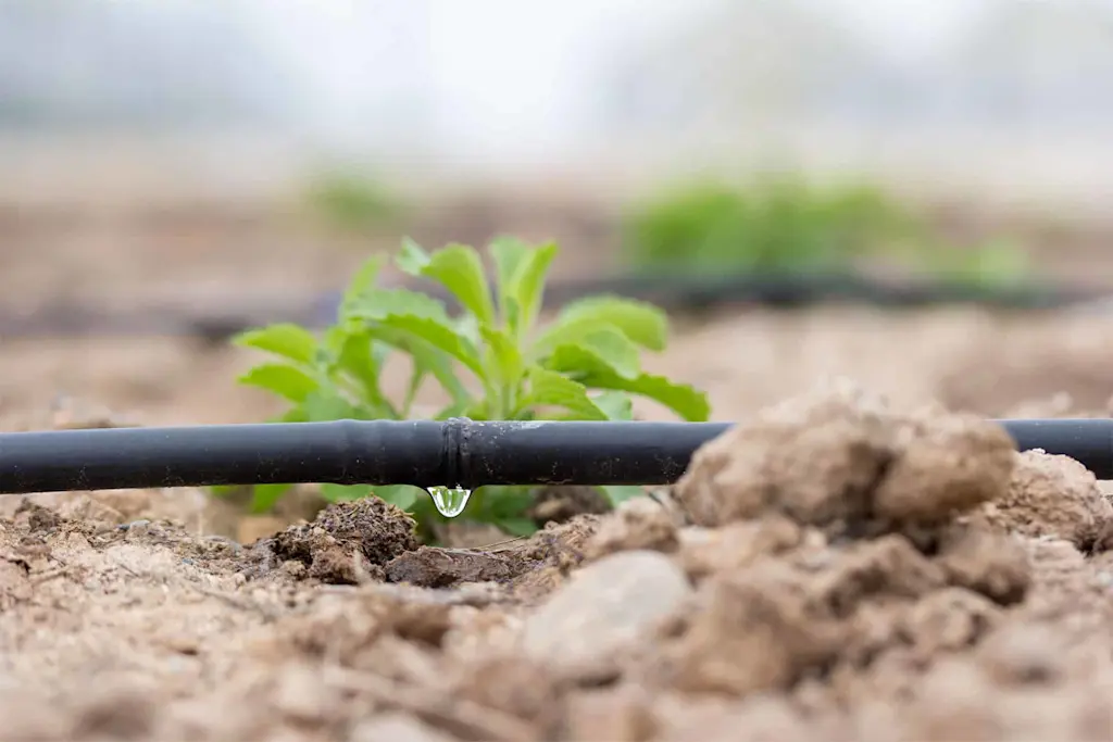 Exemptions to the hosepipe ban: Drip irrigation systems