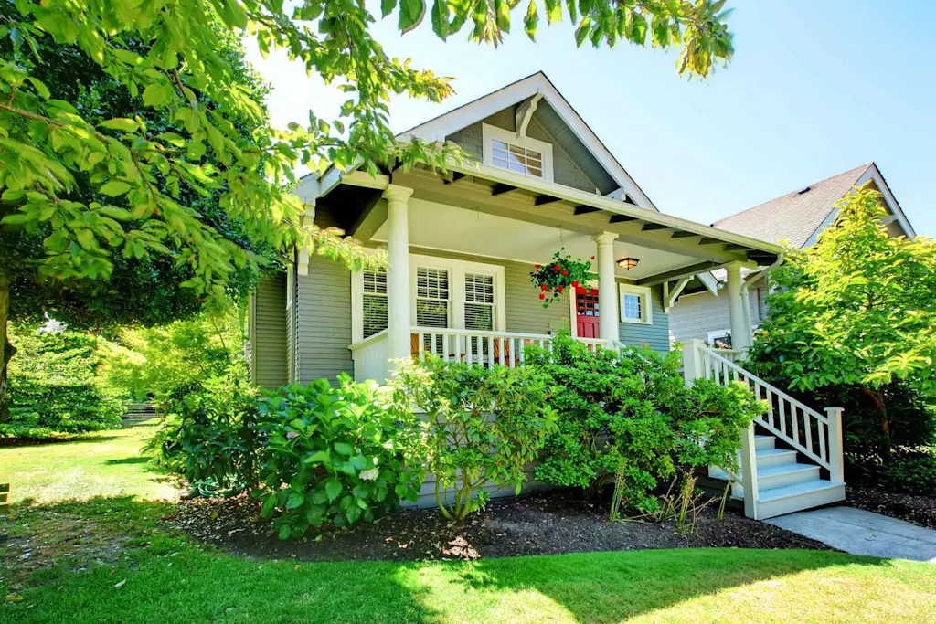 Our full guide to building near trees